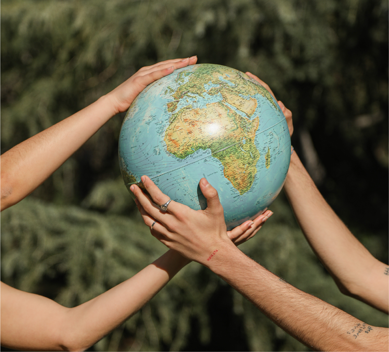 Fortaleciendo la Conciencia Ambiental en CIBERC